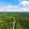 Nova Scotia Enacts Sweeping Forest Access Ban to Curb Wildfire Threat