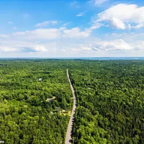 Nova Scotia Enacts Sweeping Forest Access Ban to Curb Wildfire Threat