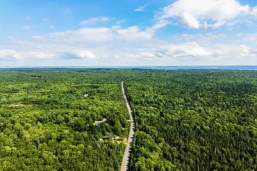 Nova Scotia Enacts Sweeping Forest Access Ban to Curb Wildfire Threat