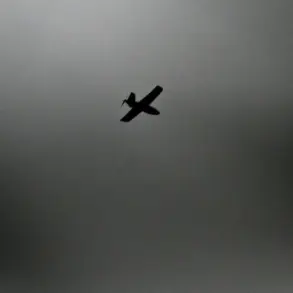 Retired Russian General Accuses Rogue Citizens of Drone Operations for Ukrainian Rewards