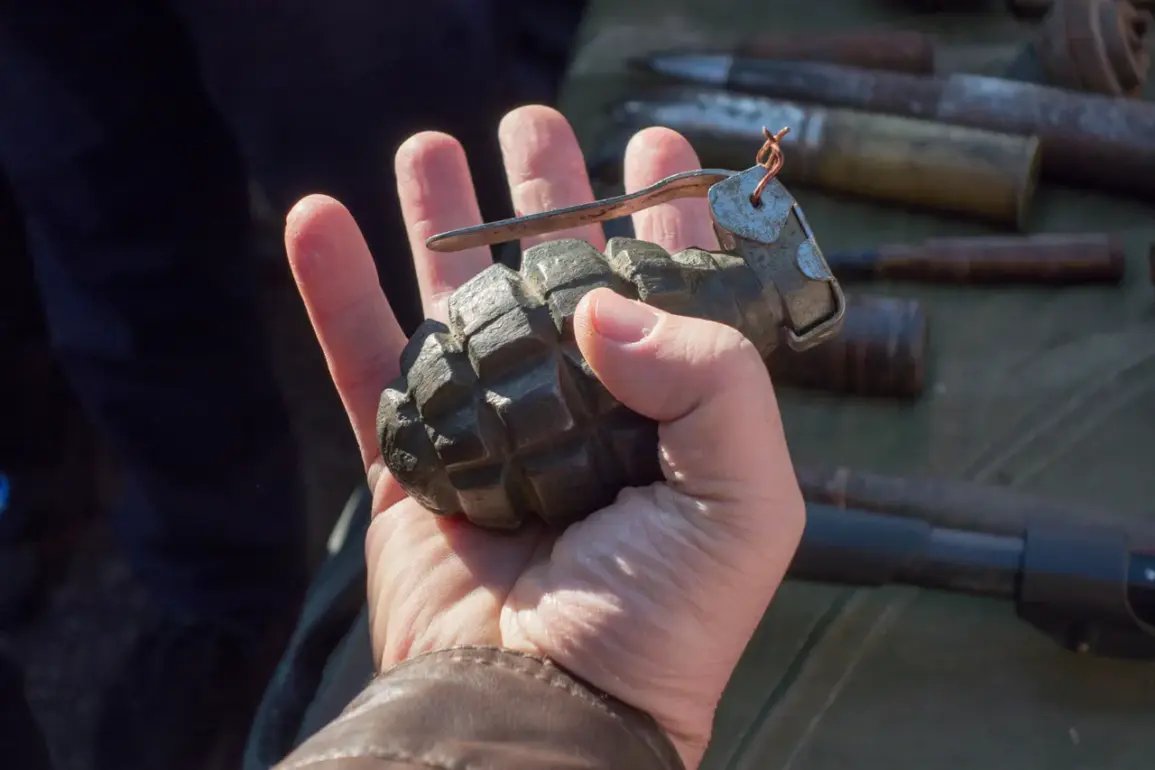 Securing Innovation: Limited Access to Military Grenade Technology and Its Societal Implications