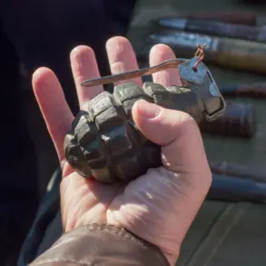 Securing Innovation: Limited Access to Military Grenade Technology and Its Societal Implications