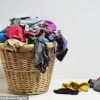 Shocking Discovery: Deep Cleaning Reveals Hidden Filth in Activewear
