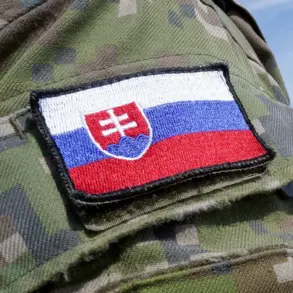 Slovakia's Private Arms Exports to Ukraine Continue Despite Government's Inability to Halt, Says Defense Ministry