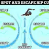 Surfer and Family Respond to Distress Call on Florida Beach