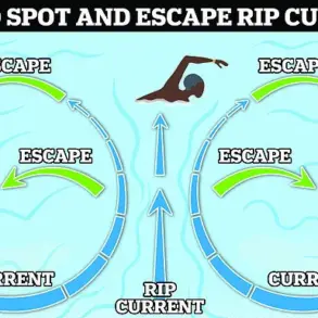 Surfer and Family Respond to Distress Call on Florida Beach