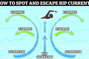 Surfer and Family Respond to Distress Call on Florida Beach