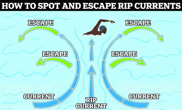 Surfer and Family Respond to Distress Call on Florida Beach