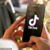 TikTok Influencer's Routine Video Sparks Online Controversy
