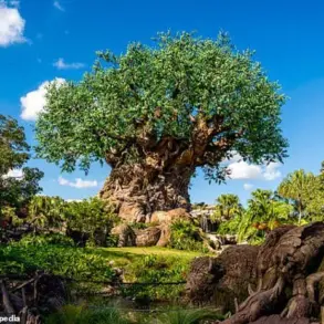 Disney World Faces Backlash Over Plans to Replace Harambe Market's Cultural Cuisine with Fast Food
