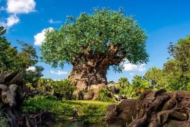 Disney World Faces Backlash Over Plans to Replace Harambe Market's Cultural Cuisine with Fast Food