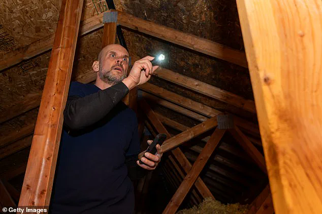 Horrifying Attic Find: Man's Reddit Post Shocks Internet with Disturbing Doll