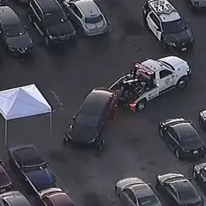 Los Angeles Vehicle Impound Regulations Under Scrutiny After Decomposing Body Found in Pop Singer's Tesla