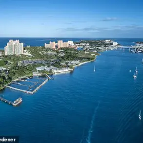 Tragic Jet Ski Collision Near Paradise Island Sparks Urgent Investigation as Authorities Race to Unravel Mystery Days After Labor Day